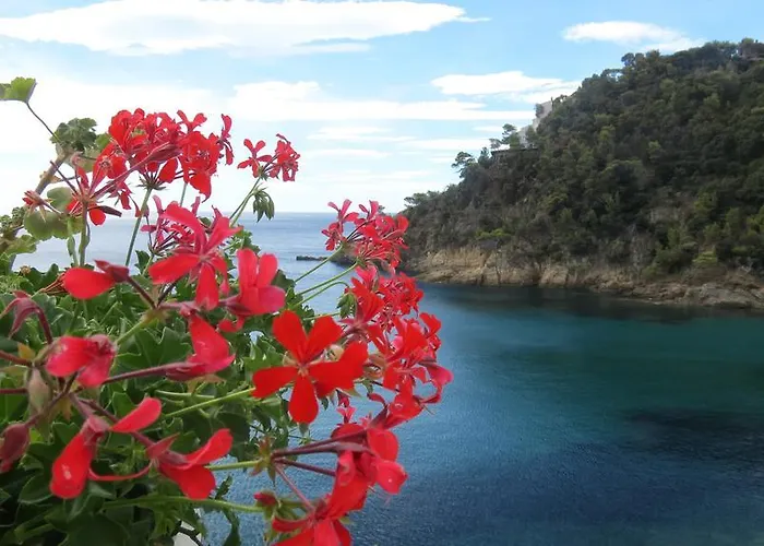 La Calanque Hotel Cavalaire-sur-Mer
